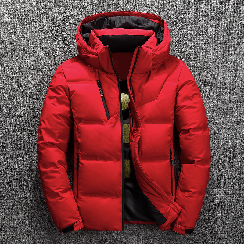 Mr. Puffer Jacket Water-Repellent with Hood – Regular Fit & Quilted Design